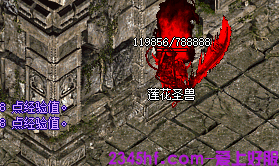 莲花圣兽