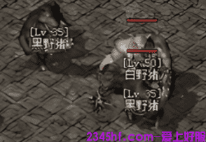 新开复古传奇