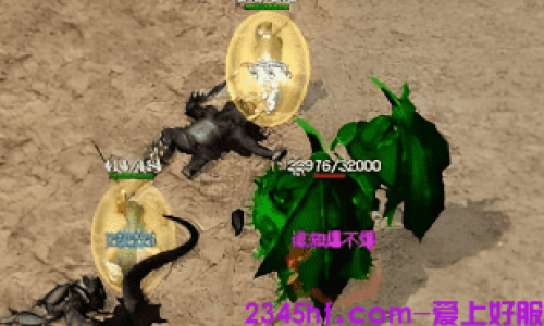 进入魔宠的新手刷怪注意事项！